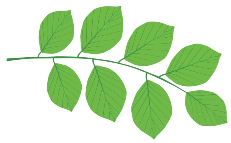 Lemco Grønt Logo Blad